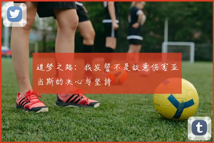 追梦之路：我发誓不是故意伤害亚当斯的决心与坚持